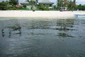Bounty Beach, Malapasca, Philippines