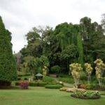 Peradeniya Royal Botanical Garden, Kandy, Sri Lanka