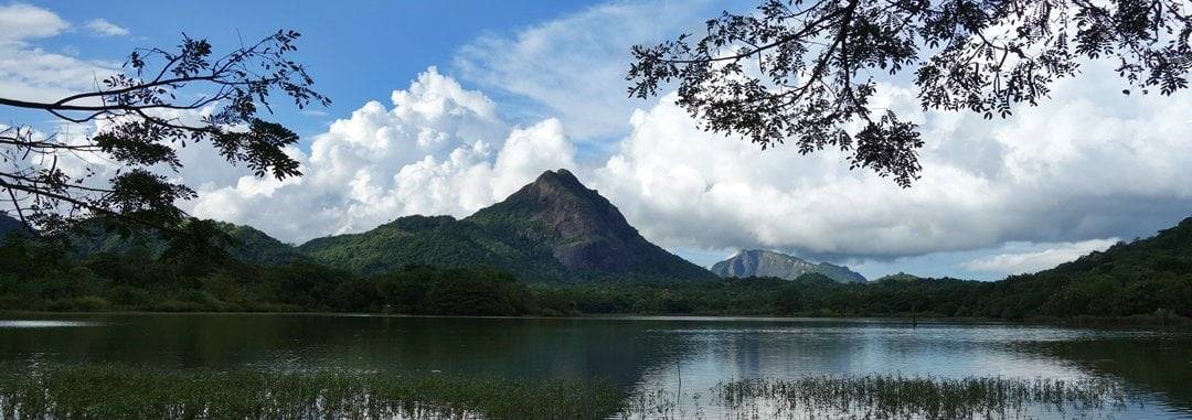 Lake, Nalanda, Sri Lanka