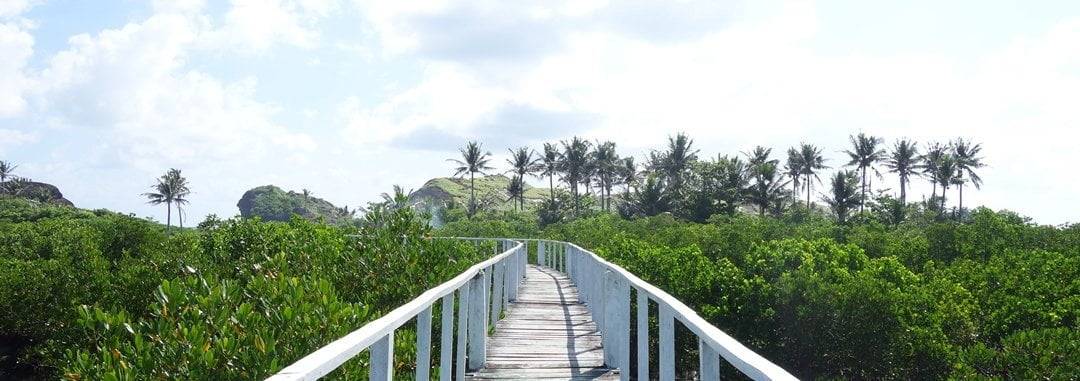 Betst of Samar, Philippines