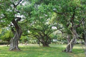 Taichung Park, Things to do in Taichung, Taiwan