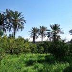 Gabès, Tunisia