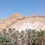 Chebika, places to visit in Tozeur