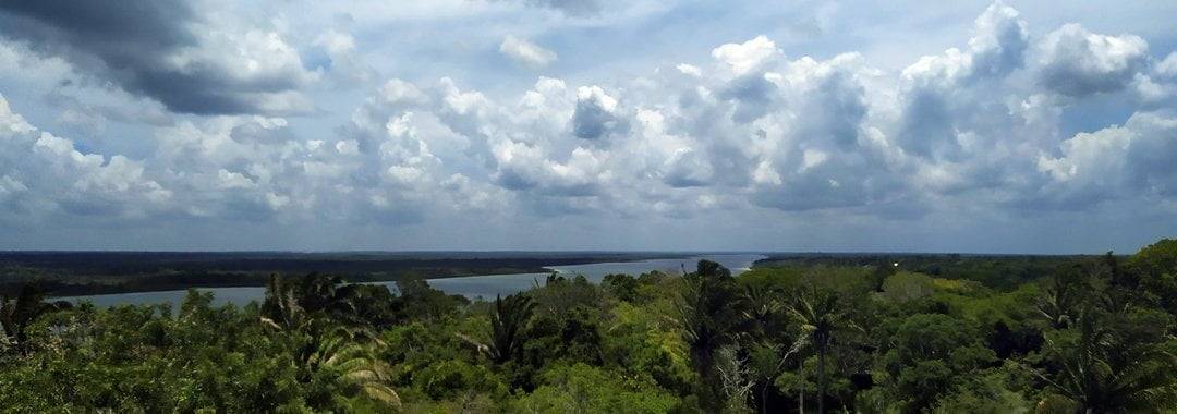 View from the The high temple, river, jungle, Lamanai, Belize