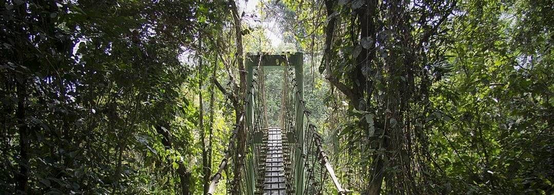 Gunung Mulu National Park, Malaysia