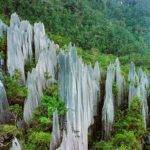 Pinnacles in Gunung Mulu National Park, Sarawak, Malaysia