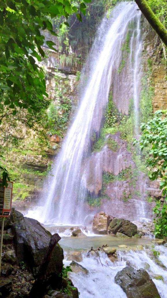 Comales Waterfall, Xilitla, Huasteca Potosina