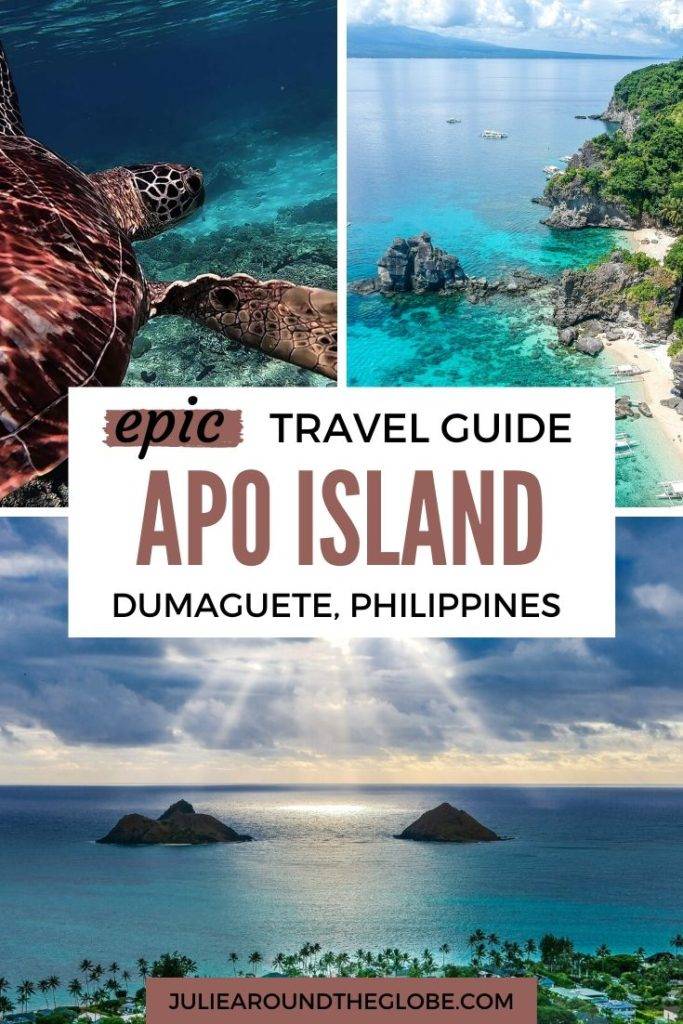 Apo Island Ultimate Travel Guide - Philippines