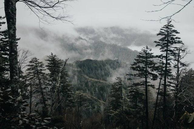 Great Smoky Mountains National Park, USA Road Trips