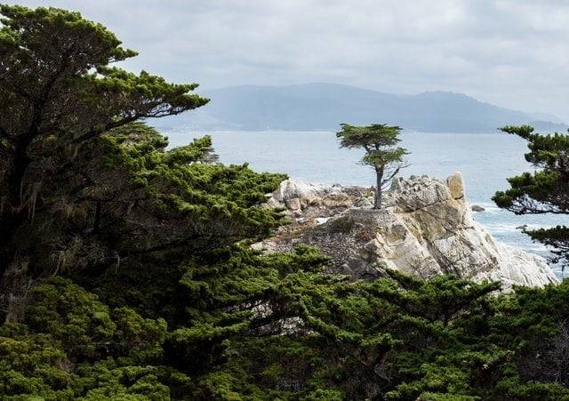 Pebble beach, California road trip