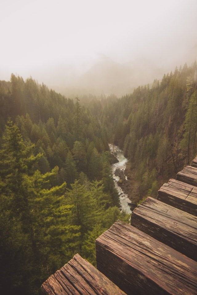 Vance Creek Bridge, Shelton, United States