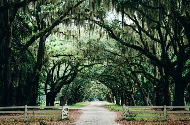 Savannah, best spring break destinations for families