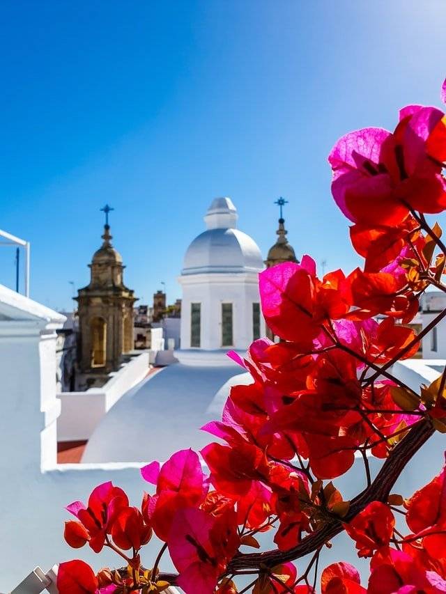 Cadiz - Spain