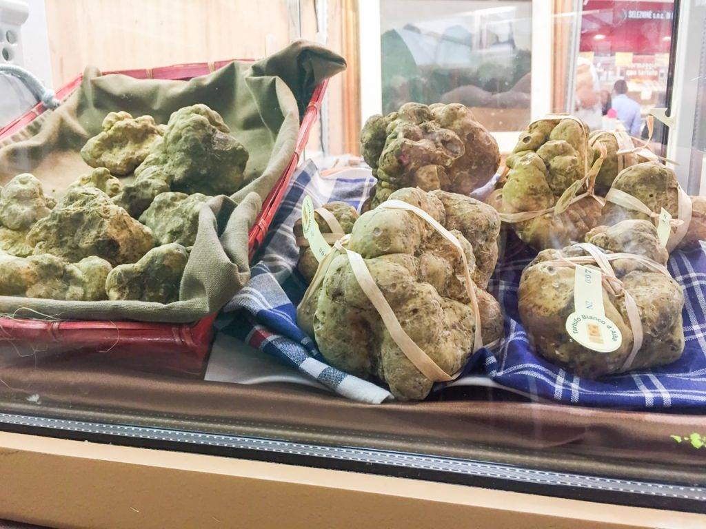 Truffles in Alba