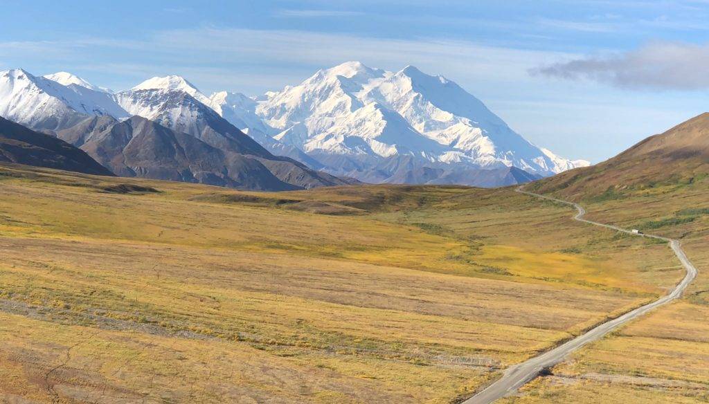 visiting denali national park